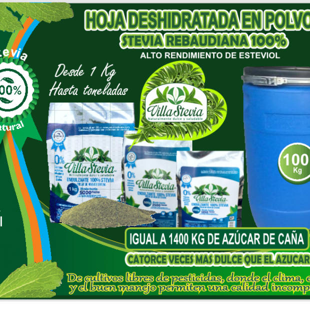 Hoja Deshidratada de Polvo Stevia